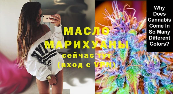 молекула духа Волоколамск
