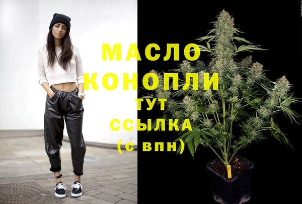 молекула духа Волоколамск