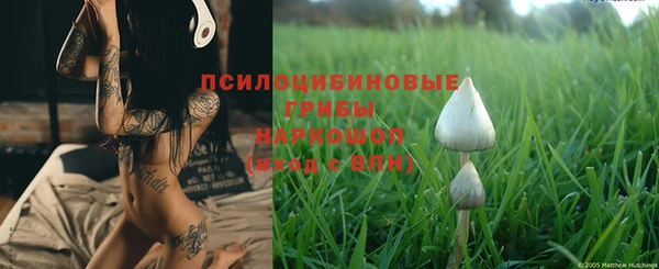 прущая мука Володарск