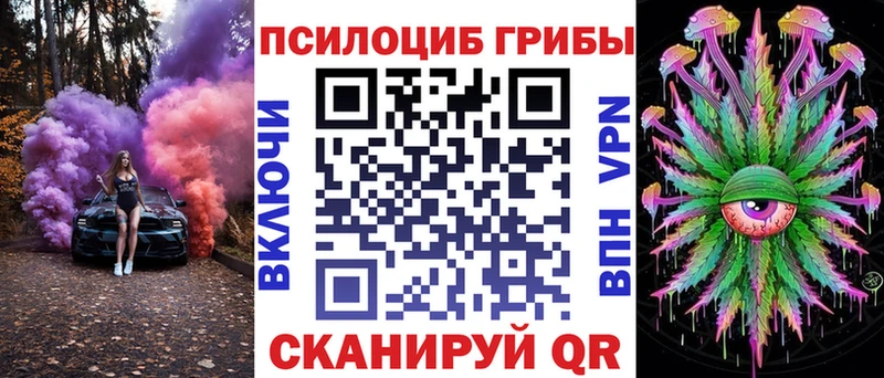 Галлюциногенные грибы Psilocybine cubensis  Купить где  Покровск 